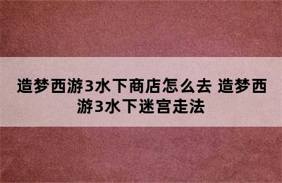 造梦西游3水下商店怎么去 造梦西游3水下迷宫走法